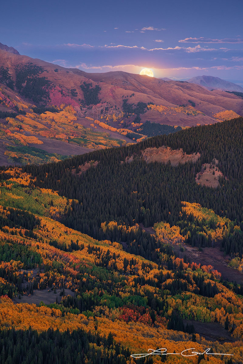 Full Moon Fall Colors in Colorado's Mountains - A rare and breathtaking view of the full moon rising amidst vibrant autumn hues of aspen and evergreen trees on mountain slopes. A unique blend of celestial beauty and fall colors in Colorado's landscape. - Gintchin Fine Art