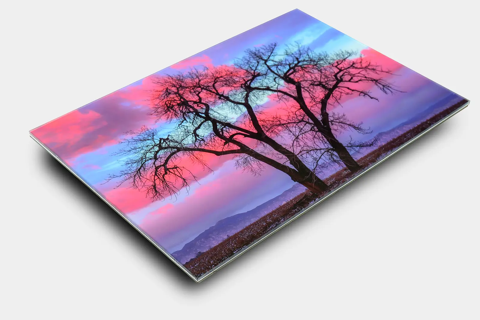 Acrylic print of a beautiful tree at sunrise in Colorado - Gintchin Fine Art