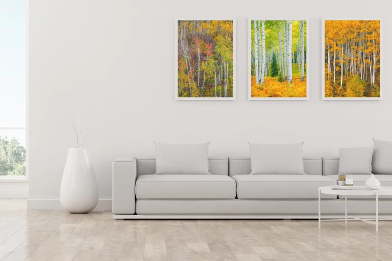 A modern living room with all art prints of fall color aspen trees above a sofa - Gintchin Fine Art