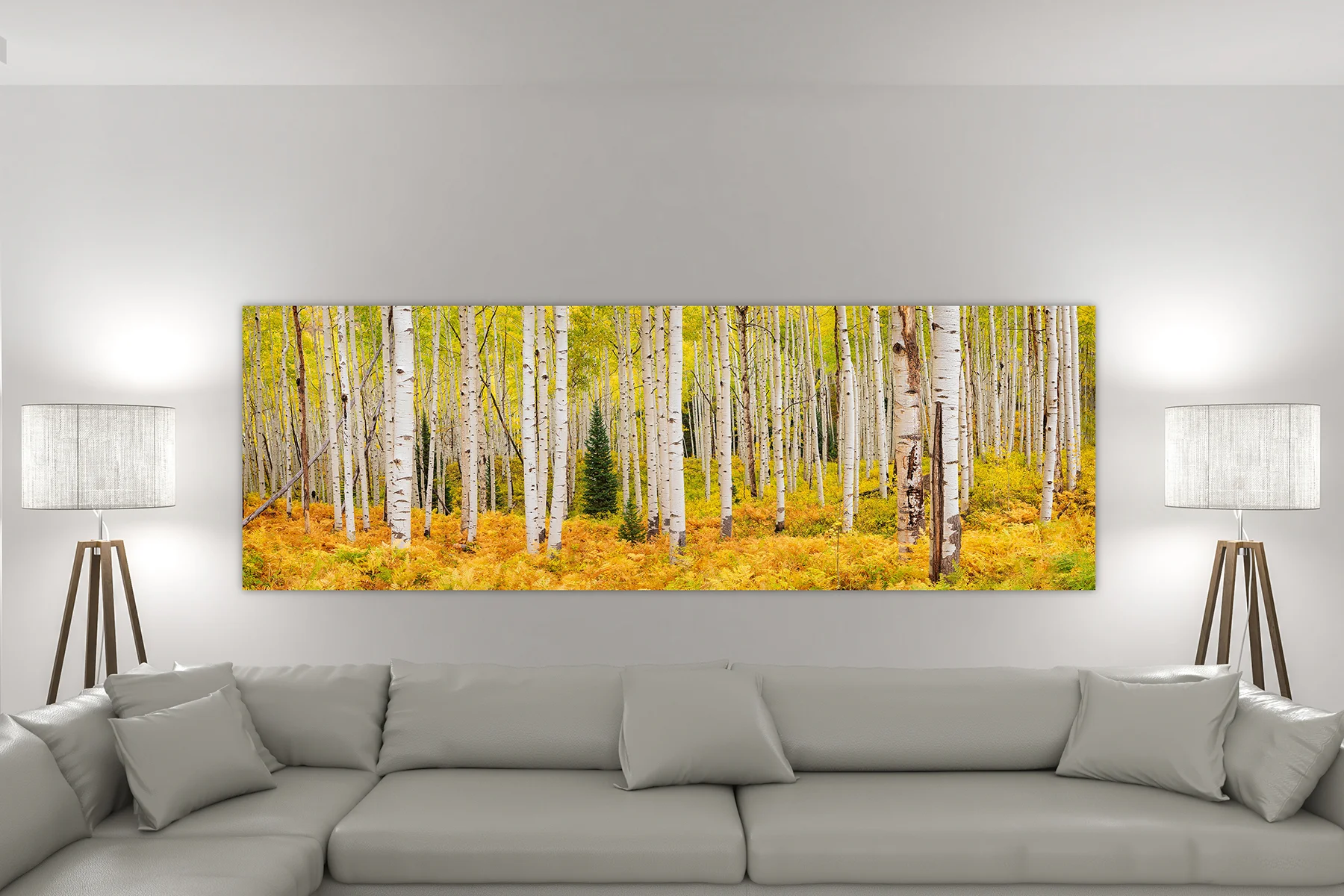 A huge aspen forest wall art print on a living room wall - Gintchin Fine Art