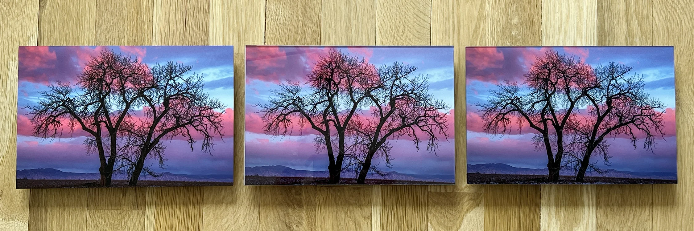Three prints side by side - metal, acrylic, and TrueLife acrylic - Gintchin Fine Art