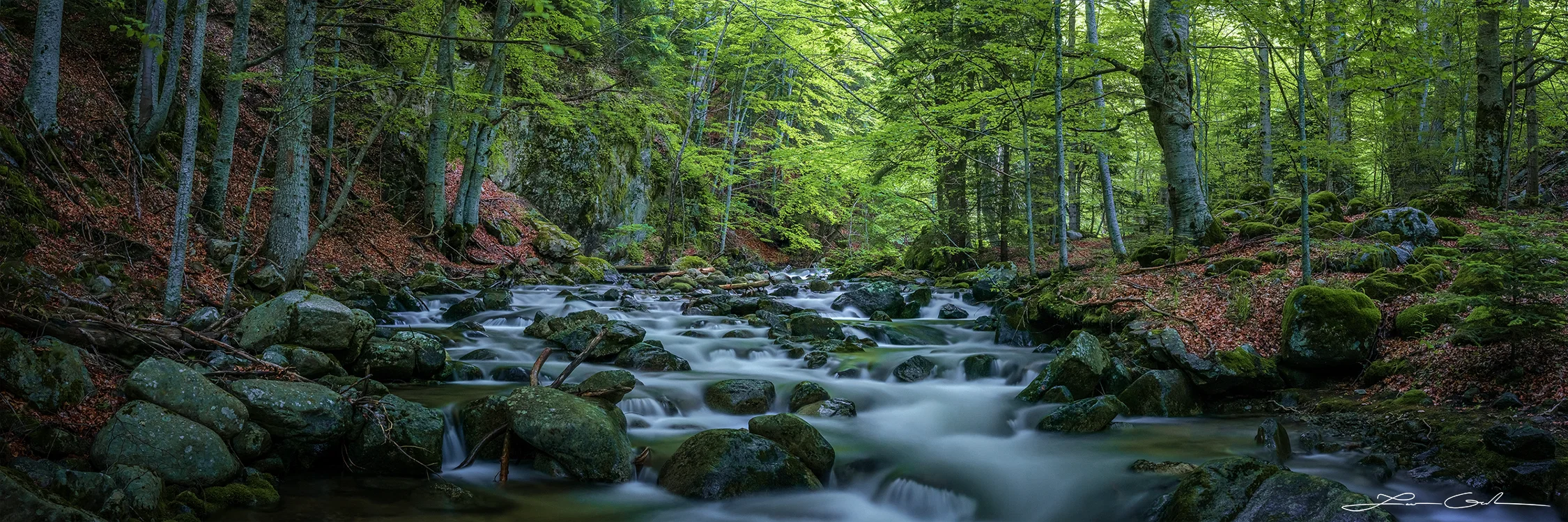 "Rejuvenation," a fine art photo print depicting a tranquil forest river flowing smoothly over rounded stones amidst verdant trees and moss-covered rocks, capturing the essence of a peaceful woodland ecosystem. - Gintchin Fine Art