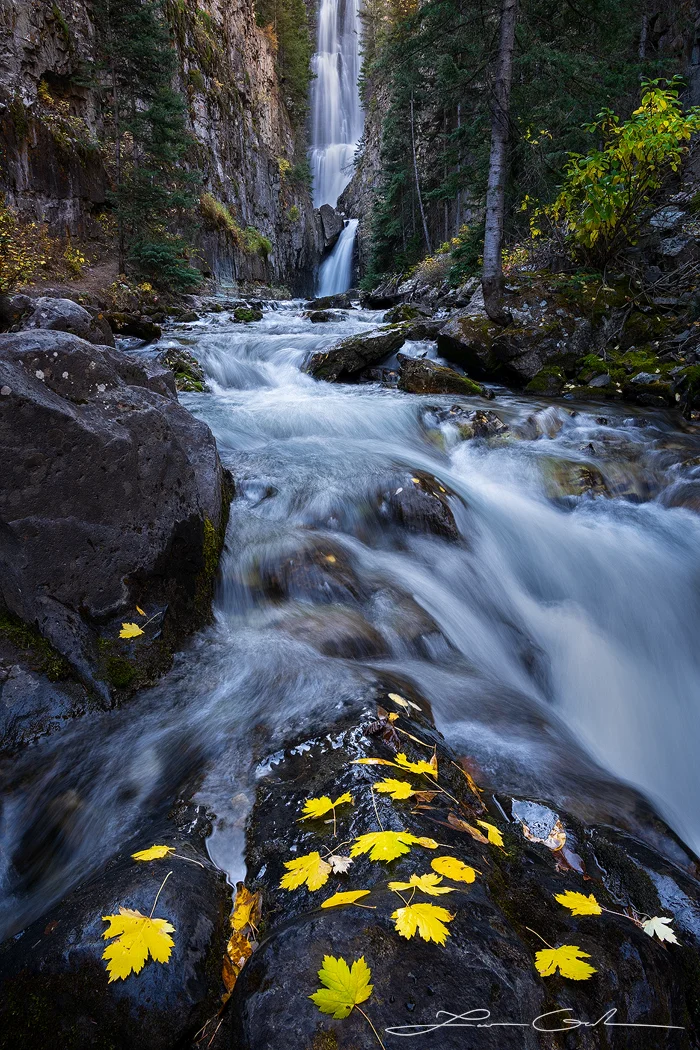 Autumn waterfall scene with a tall, narrow waterfall cascading down rugged cliffs surrounded by a forest. In the foreground, bright yellow autumn leaves rest on dark, wet rocks as water flows rapidly around them, creating a silky, blurred effect. Evergreen trees and soft sunlight filtering through the foliage complete the tranquil fall atmosphere.