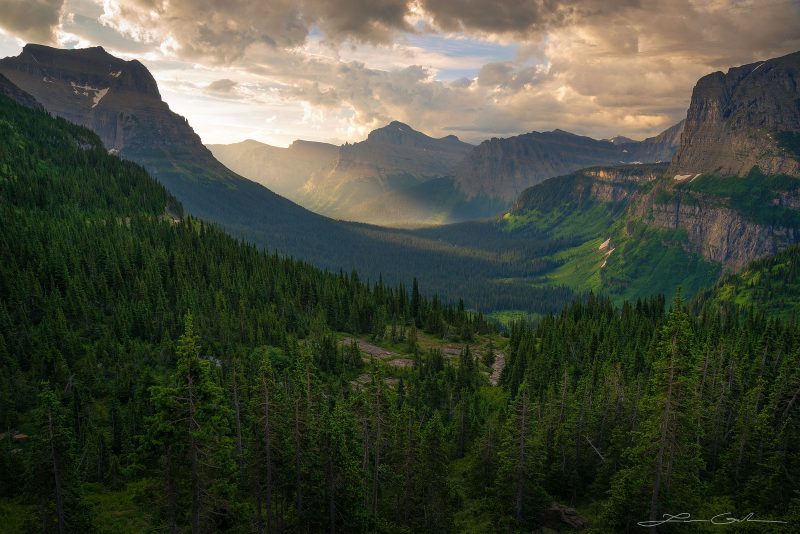 Beautiful Montana mountain valley with lots of lush evergreen trees and dramatic light in the distance during sunrise and dramatic clouds - Gintchin Fine art